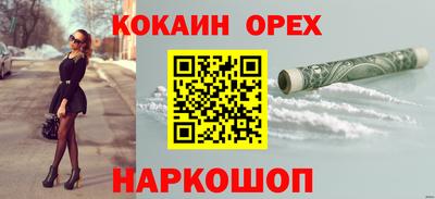 гидропоника Новозыбков