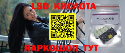 гидропоника Новозыбков