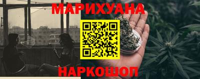 гидропоника Новозыбков
