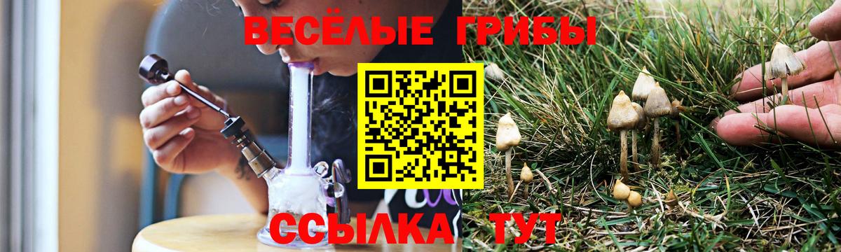 Родники  Галлюциногенные грибы прущие грибы  Галлюциногенные грибы ЛСД  Вход с VPN 