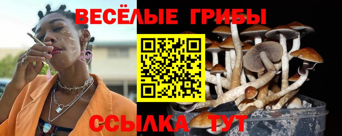 Галлюциногенные грибы GOLDEN TEACHER Родники