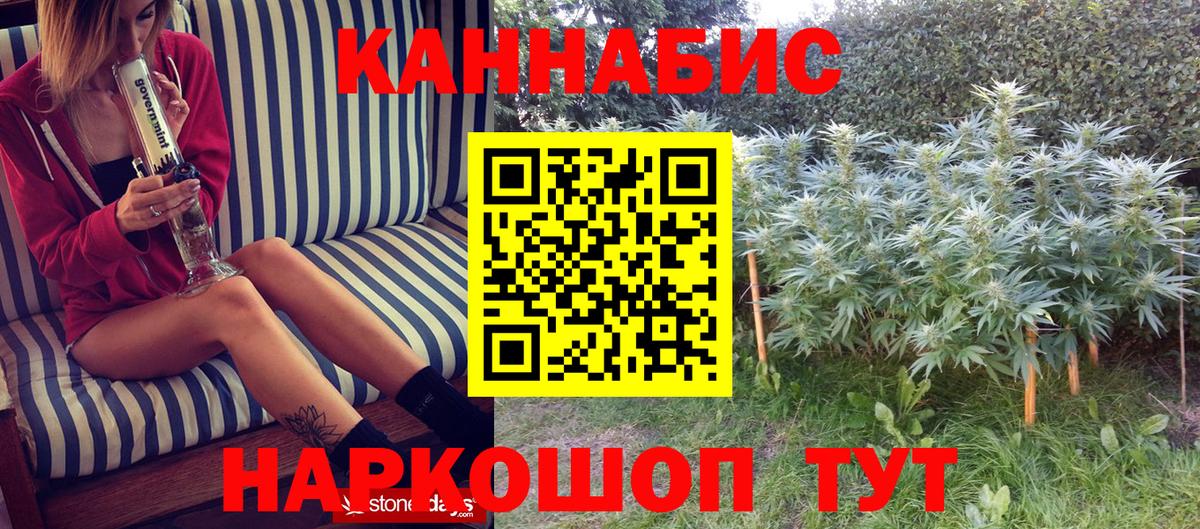 Каннабис White Widow  Каннабис гибрид  Родники  Бошки Шишки OG Kush  Вход с VPN  Бошки марихуана SATIVA & INDICA 
